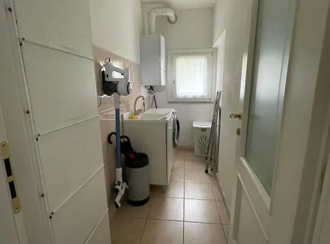 Il Cigno Con Accesso Al - * 데르비오