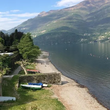 Il Cigno Con Accesso Al -