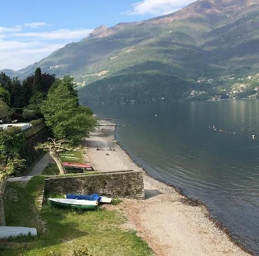 Il Cigno Con Accesso Al -